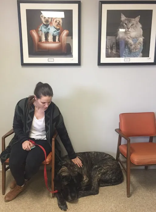 York Road Veterinary Hospital Inc. 7