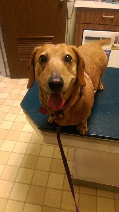 Warminster Veterinary Hospital 4