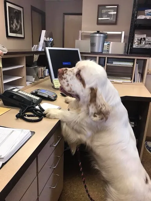 Buck Road Animal Hospital 4