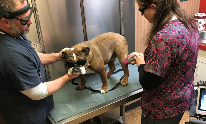 Buck Road Animal Hospital 6