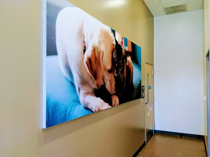 Vetco Total Care Animal Hospital 12