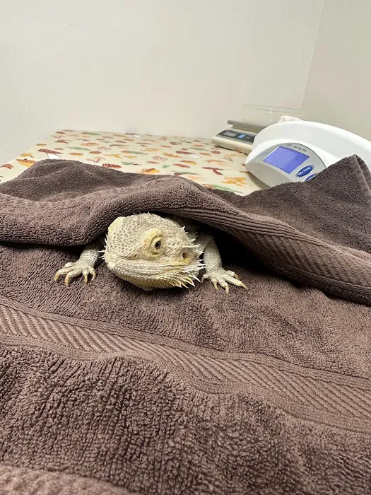 Animal Hospital of Warwick 12