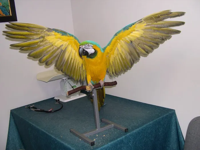 Animal Hospital of Warwick 12