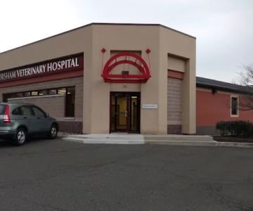 Horsham Veterinary Hospital