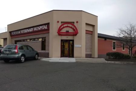 Horsham Veterinary Hospital