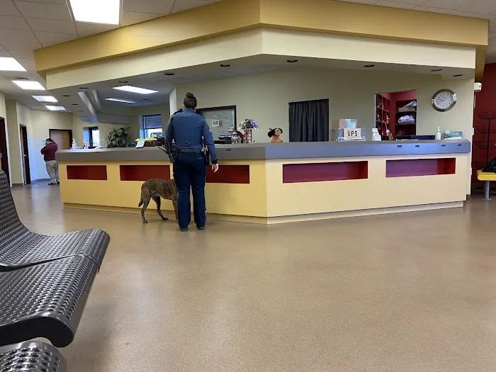 Horsham Veterinary Hospital 2