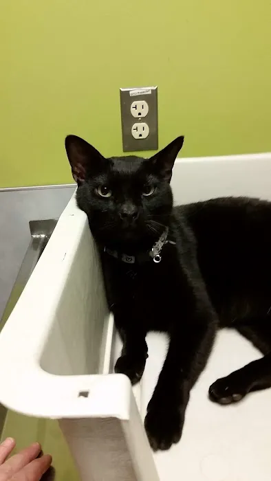 Horsham Veterinary Hospital 6