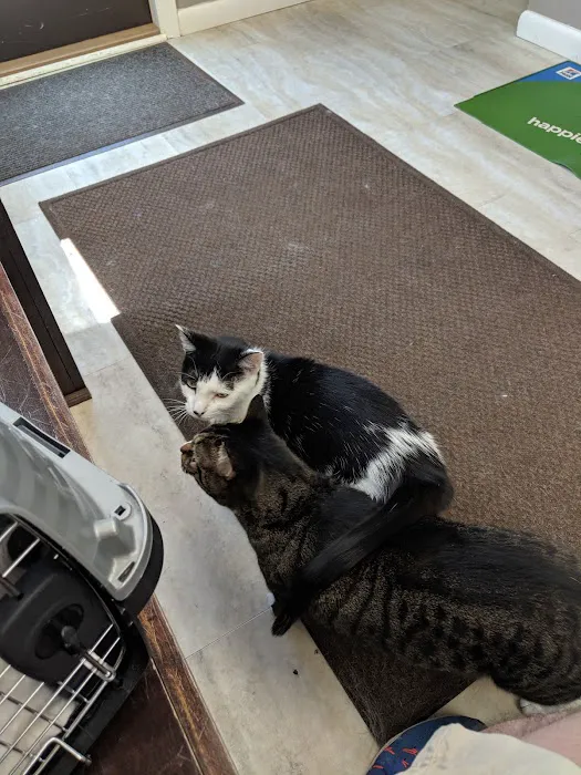 Sycamore Veterinary Hospital: Neubauer S DVM 1