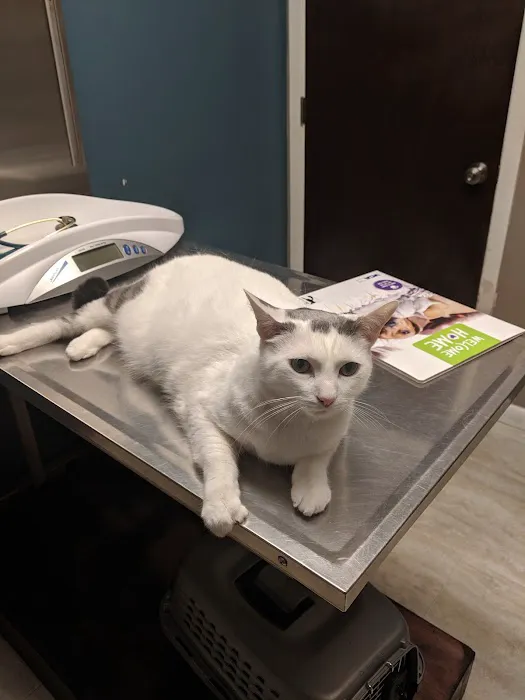 Sycamore Veterinary Hospital 3