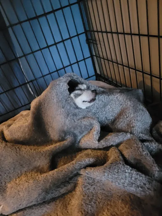 Sycamore Veterinary Hospital 4