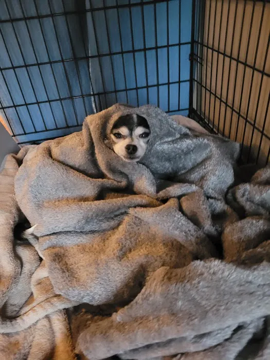 Sycamore Veterinary Hospital 5