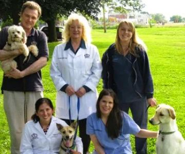 Newtown Veterinary Hospital, LLC