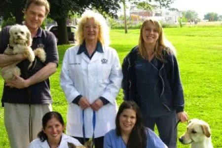 Newtown Veterinary Hospital, LLC