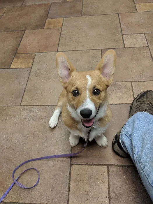 Newtown Veterinary Hospital, LLC 2