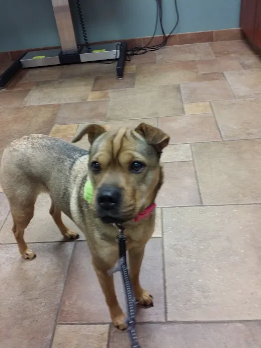 Newtown Veterinary Hospital, LLC 8