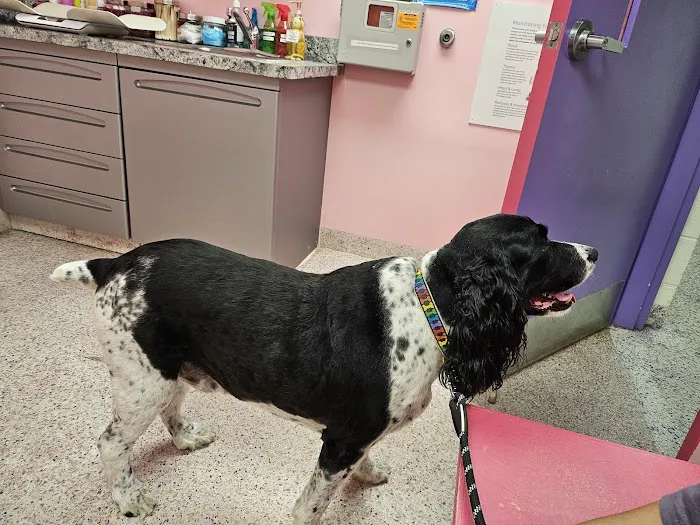 Animal Hospital of Richboro 9