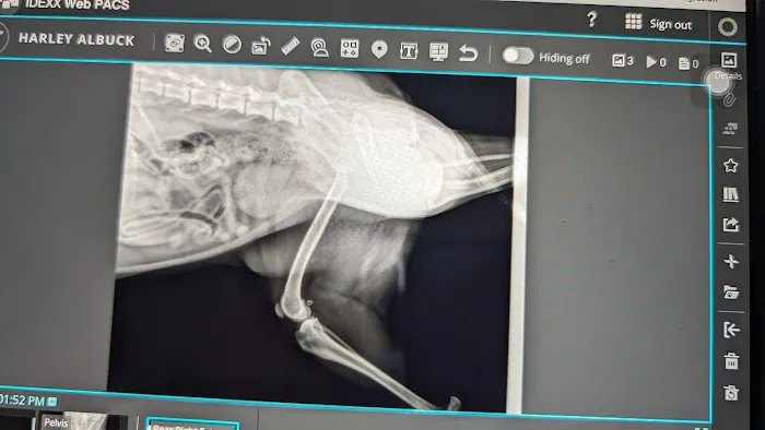 Animal Hospital of Richboro 10