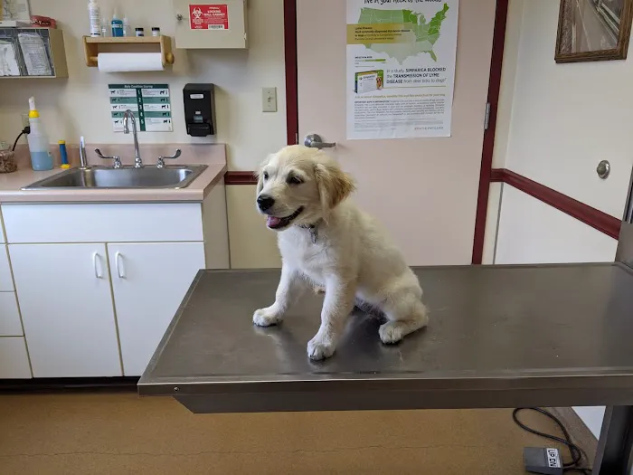 Richboro Veterinary Hospital 3
