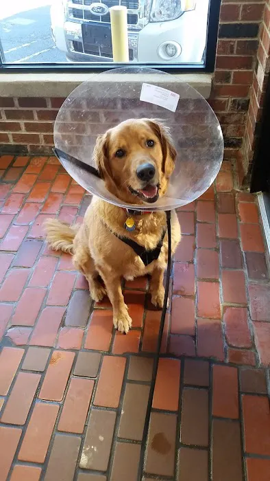 Pet's Best Friend Veterinary Hospital 9