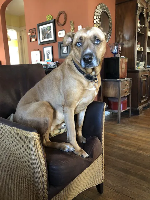 Moontide Veterinary Services 1
