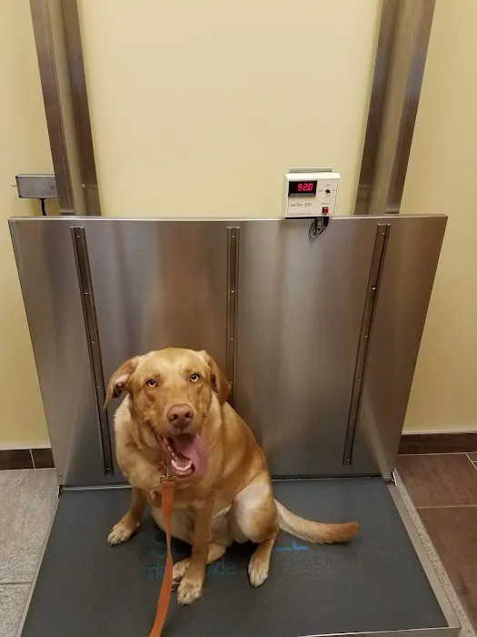 VCA Stoney Creek Animal Hospital 12