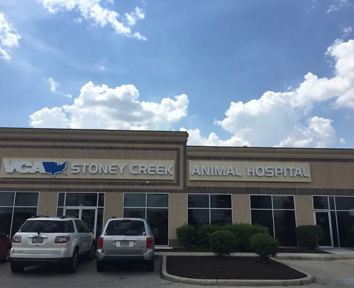 VCA Stoney Creek Animal Hospital 12
