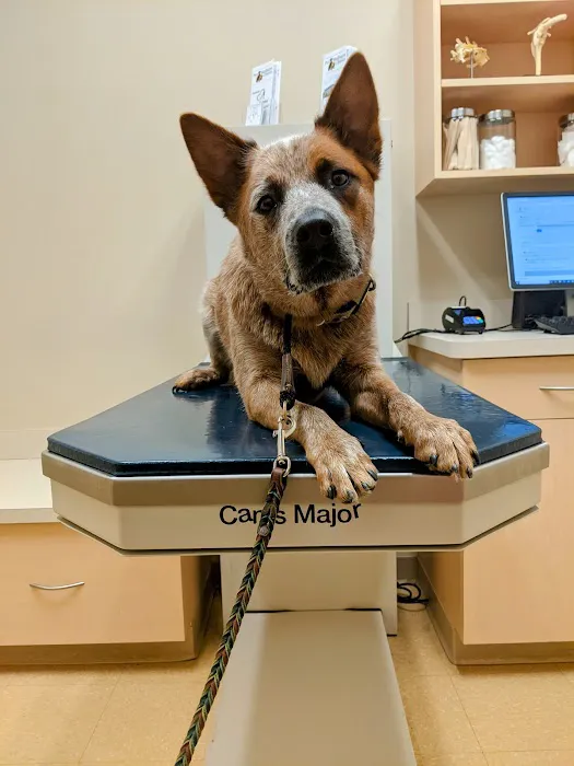 Noblesville Pet Wellness Clinic 12