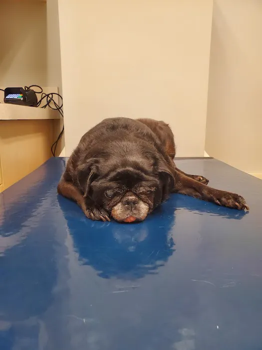 Noblesville Pet Wellness Clinic 12
