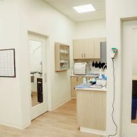 Paw & Purr Surgical and Dental Care ico