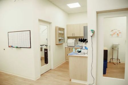 Paw & Purr Surgical and Dental Care