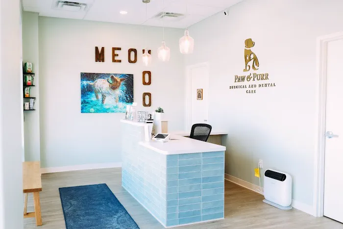Paw & Purr Surgical and Dental Care 3