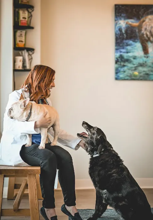 Paw & Purr Surgical and Dental Care 7