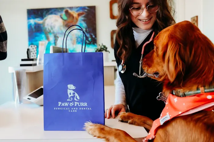 Paw & Purr Surgical and Dental Care 8