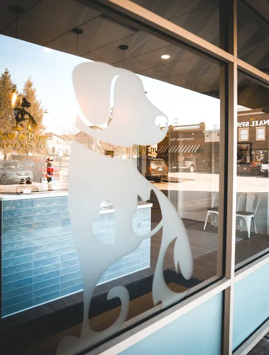 Paw & Purr Surgical and Dental Care 9