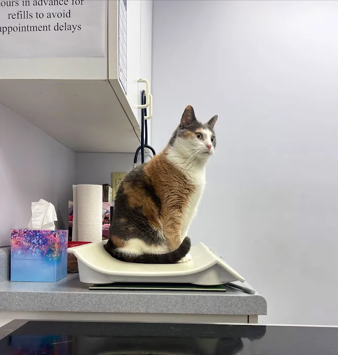 Hamilton Hills Animal Hospital Inc 12