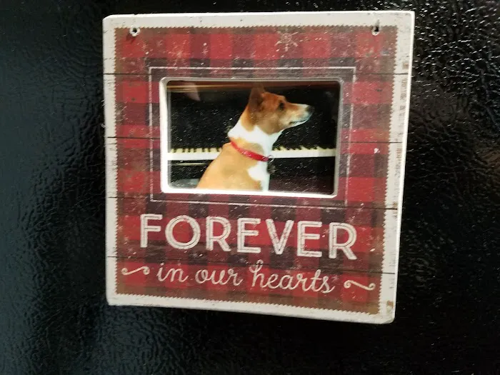 Hamilton Hills Animal Hospital Inc 12