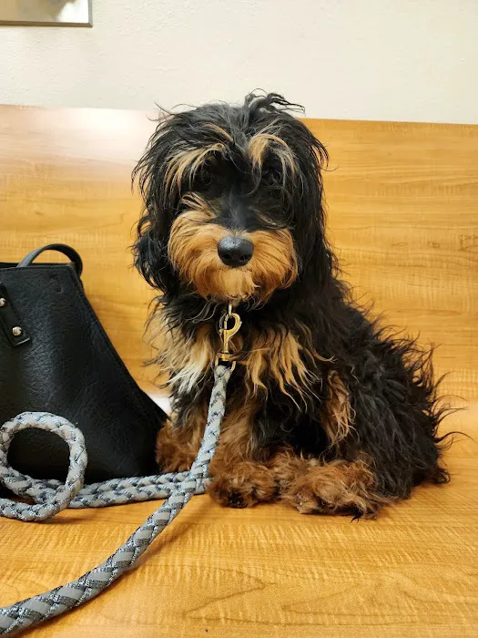 Banfield Pet Hospital 1