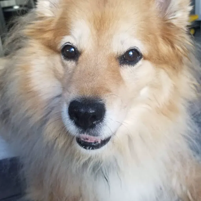 Banfield Pet Hospital 5