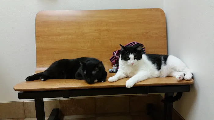 Banfield Pet Hospital 8