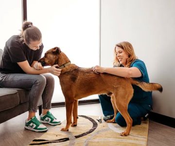 PetVet365 Pet Hospital Fishers Crossing