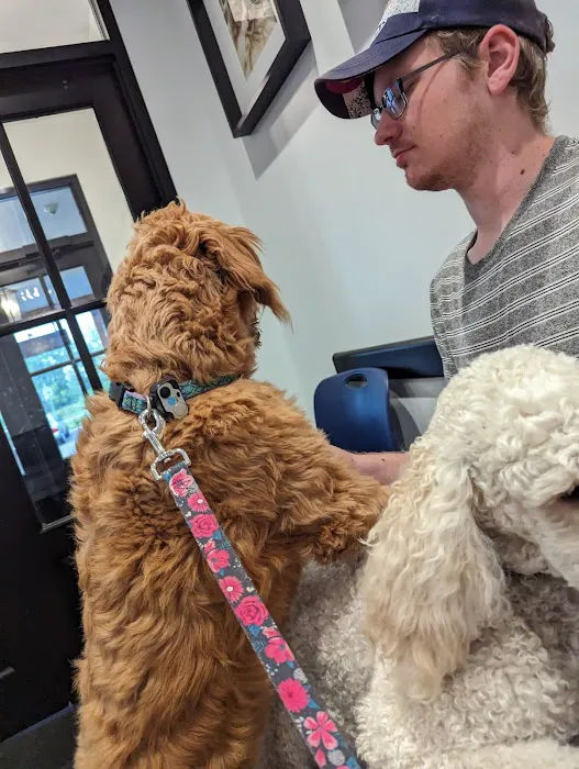 Low Cost Spay Neuter Clinic 6