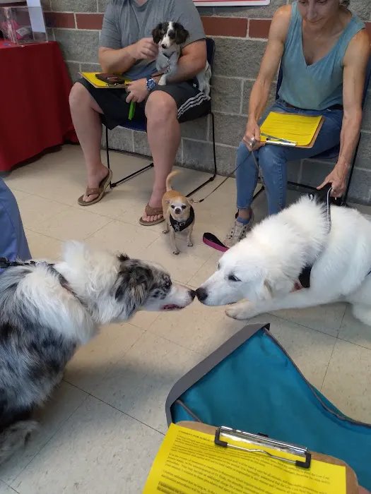 Low Cost Spay Neuter Clinic 8