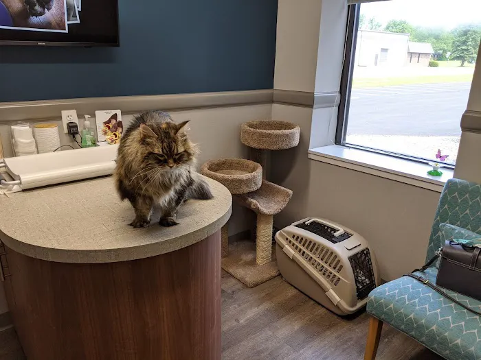Animal Allergy & Dermatology Center of Indiana 1
