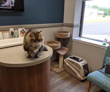 Animal Allergy & Dermatology Center of Indiana
