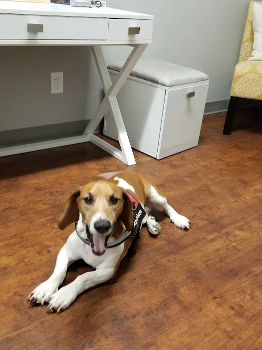 Animal Allergy & Dermatology Center of Indiana 5