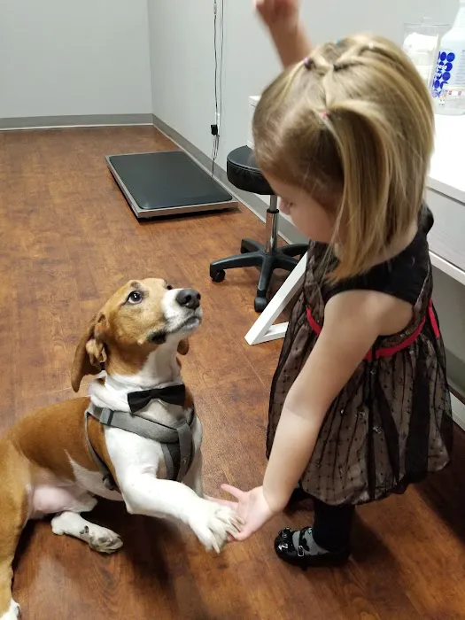 Animal Allergy & Dermatology Center of Indiana 8