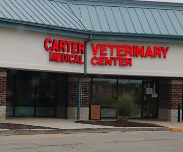 Carter Veterinary Medical Center