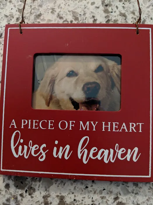 Carter Veterinary Medical Center 6