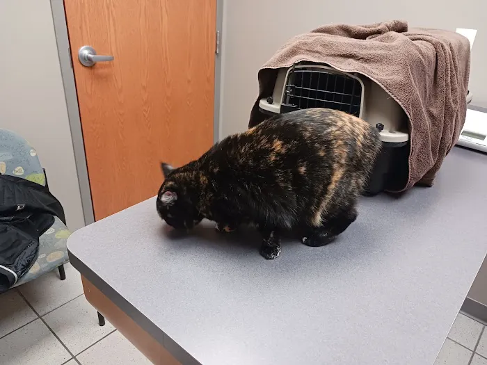 Hamilton Crossing Animal Hospital 12