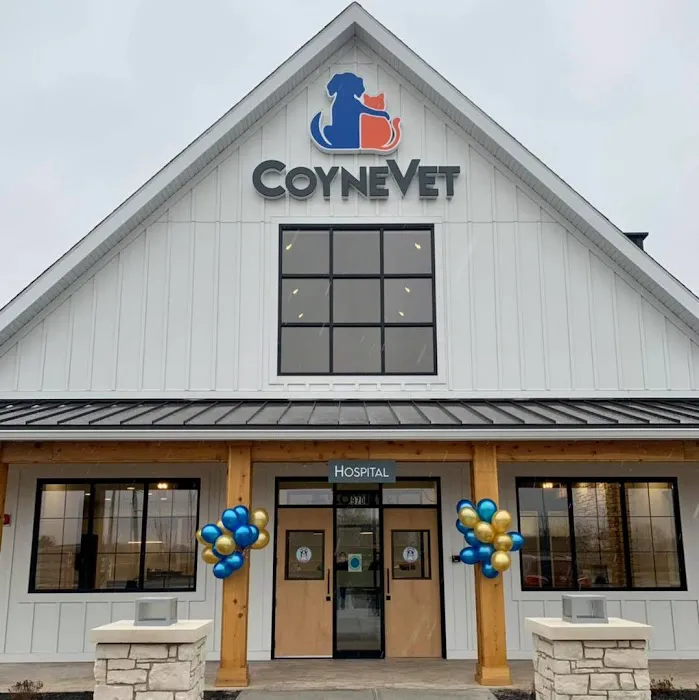 Coyne Veterinary Center Westfield 12